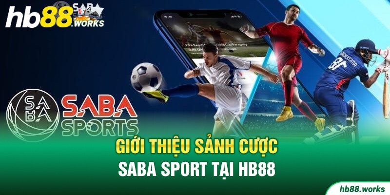 Giới thiệu sảnh cược SABA SPORT tại Hb88