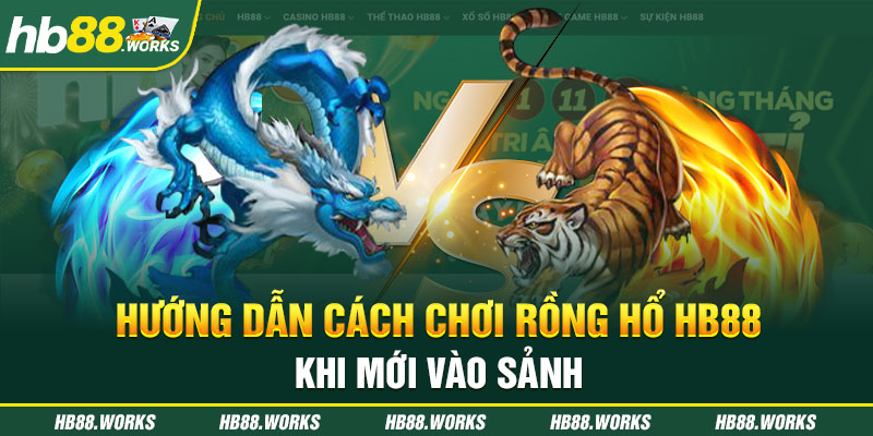 Hướng dẫn cách chơi rồng hổ HB88 khi mới vào sảnh