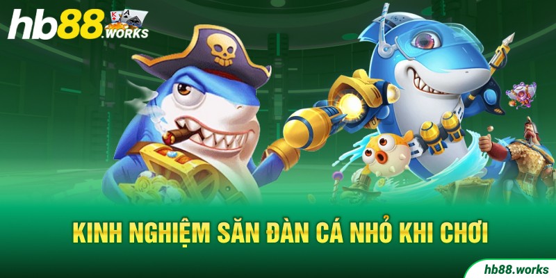 Kinh nghiệm săn đàn cá nhỏ khi chơi