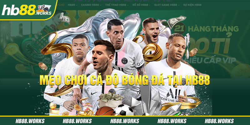 cá độ bóng đá nhà cái hb88