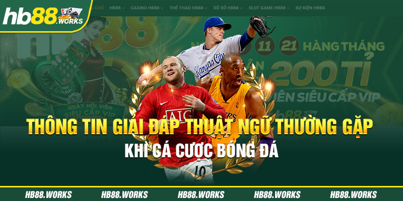 Thông tin giải đáp thuật ngữ thường gặp khi cá cược bóng đá là gì