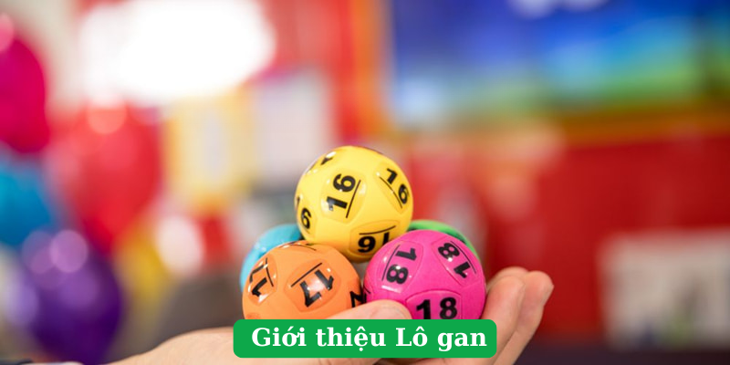 Giới thiệu ngắn về lô gan là gì