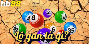 lô gan là gì